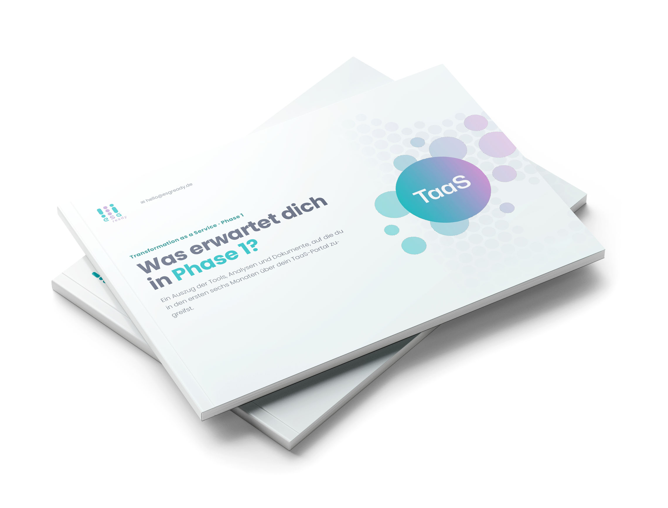 taas-mockup-flyer